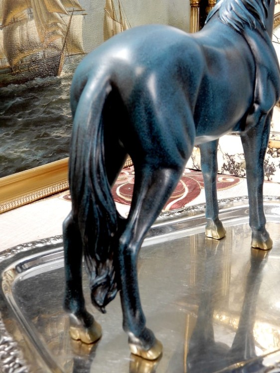 DSCN7715.JPG