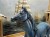 DSCN7711.JPG