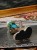 DSCN8192.JPG