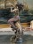 DSCN8595.JPG