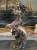 DSCN8591.JPG