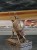 DSCN8617.JPG
