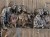 DSCN8678.JPG