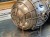 DSCN8726.JPG