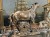 DSCN9371.JPG