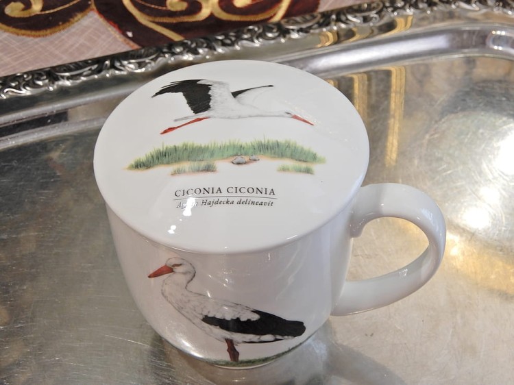 DSCN9310.JPG