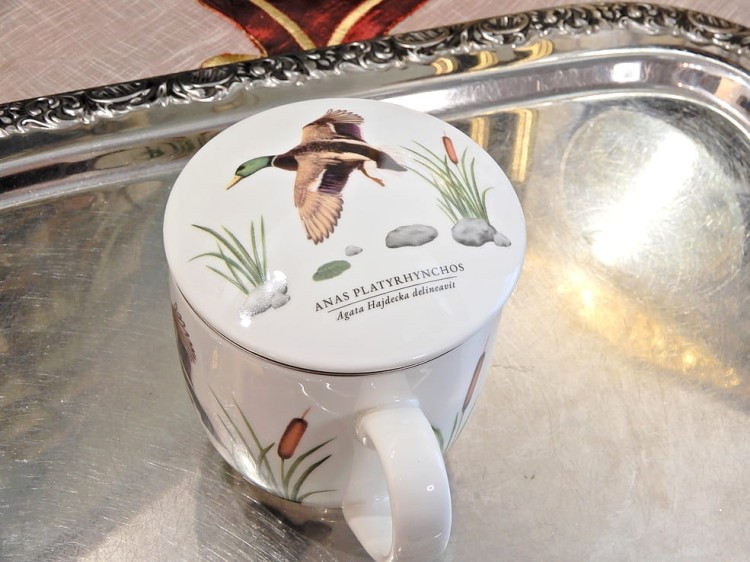 DSCN9315.JPG