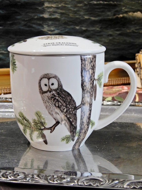Kubek porcelanowy z pokrywką i puszczykiem