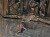 DSCN9965.JPG