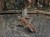 DSCN9964.JPG