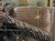 DSCN9967.JPG