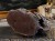DSCN6335.JPG