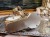 DSCN6397.JPG