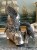 DSCN6643.JPG
