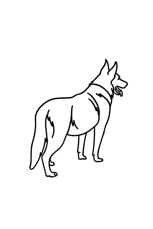 c8dc9015-d32c-42a6-a8ce-677c100e3032.png