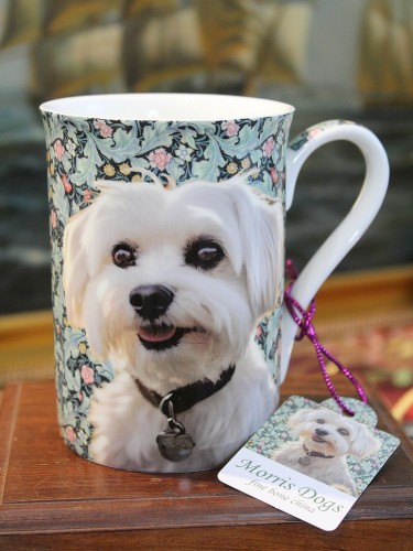 Porcelanowy kubek bone china z puszystym Maltańczykiem na delikatnym tle roślinnym