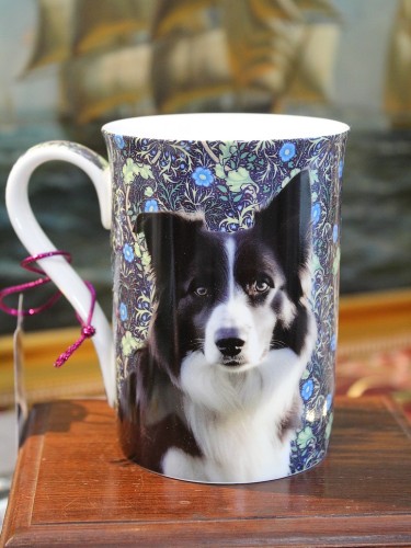 Elegancki kubek bone china z inteligentnym Border Collie do biura