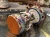 r9nsxn.b4dfdf.xxl.webp