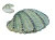 rd1l2v.7f8038.xxl.webp