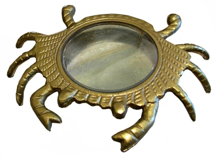 lupa szkło powiększające kształt kraba