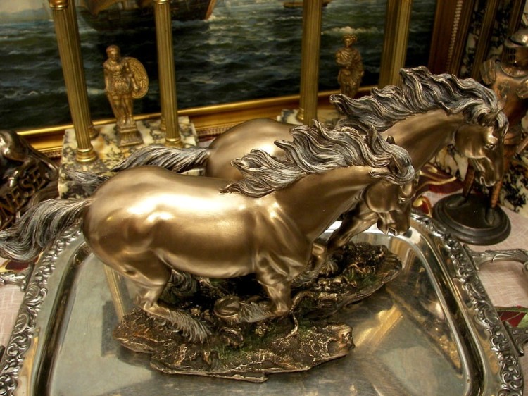 szalone konie w wolnym galopie
